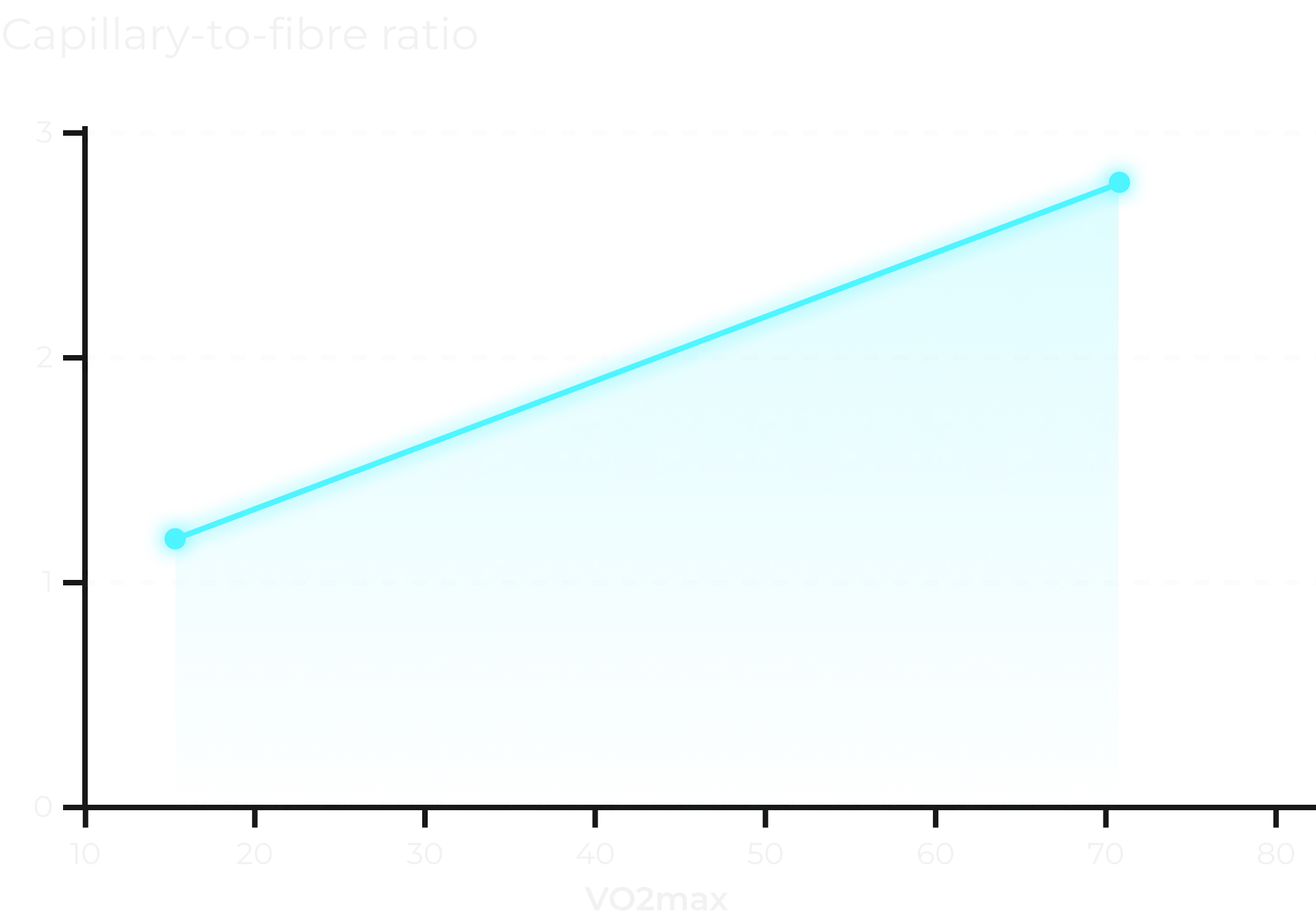 Linear correlation between capillary-to-fibre ratio and VO2max